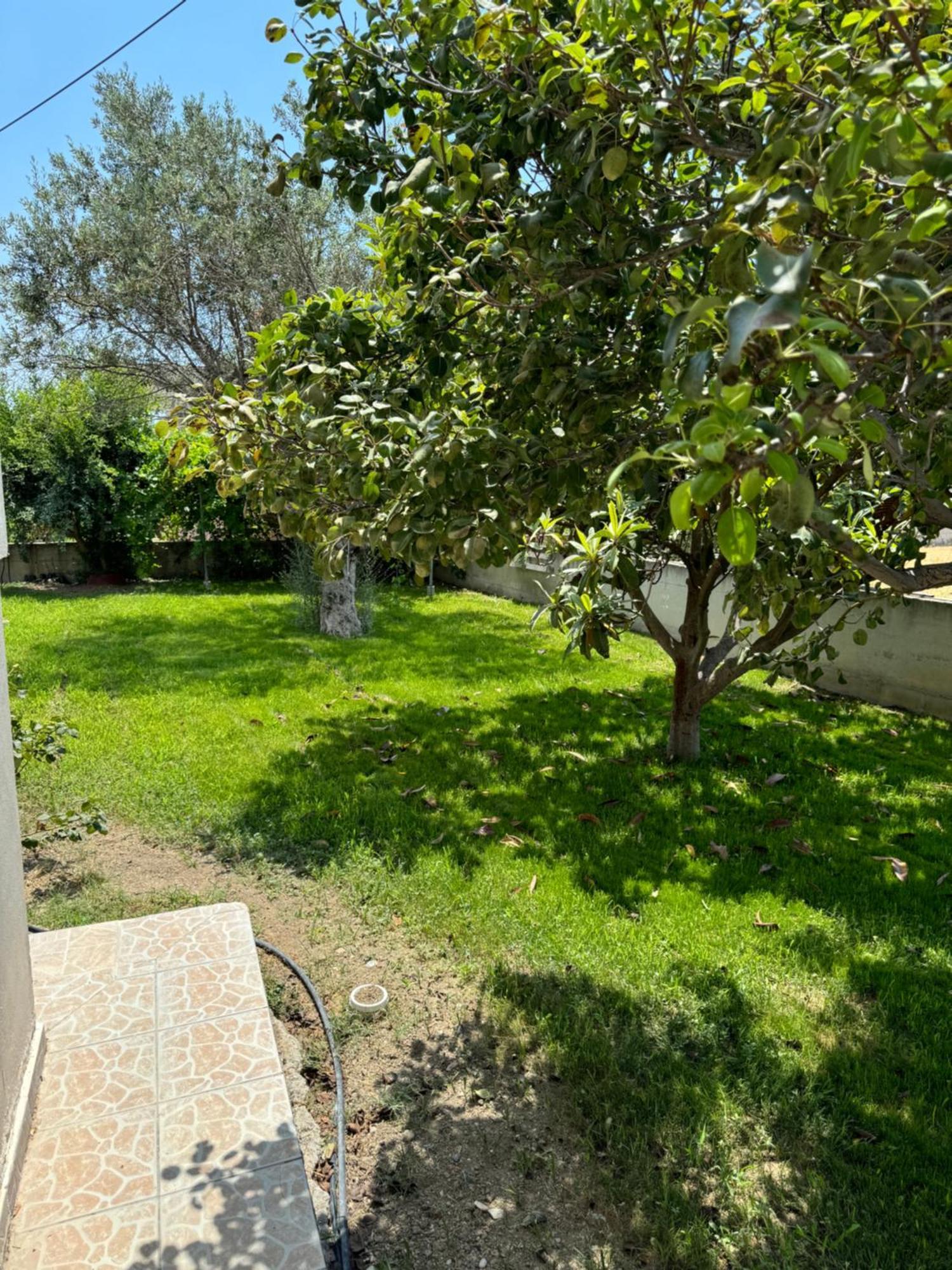 Apartament Fotis House Afandu Zewnętrze zdjęcie