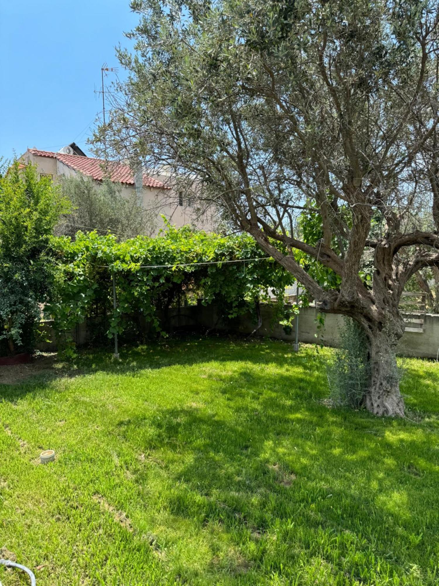 Apartament Fotis House Afandu Zewnętrze zdjęcie